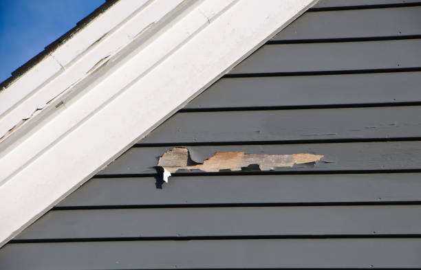 Trusted Weston Mills, NY Junk Removal Experts